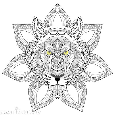 illustration stock tigre de vecteur visage de tigre de zentangle sur l illustration de mandala tige image