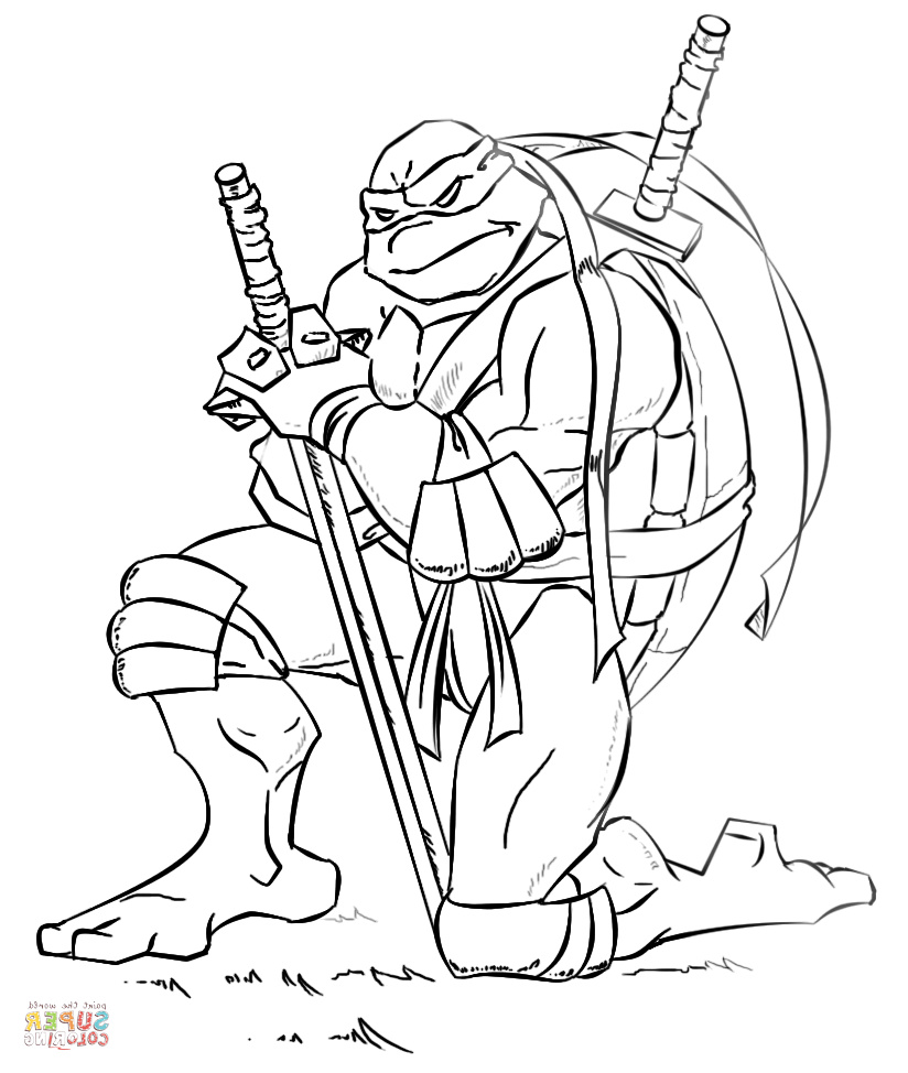 leonardo from ninja turtles