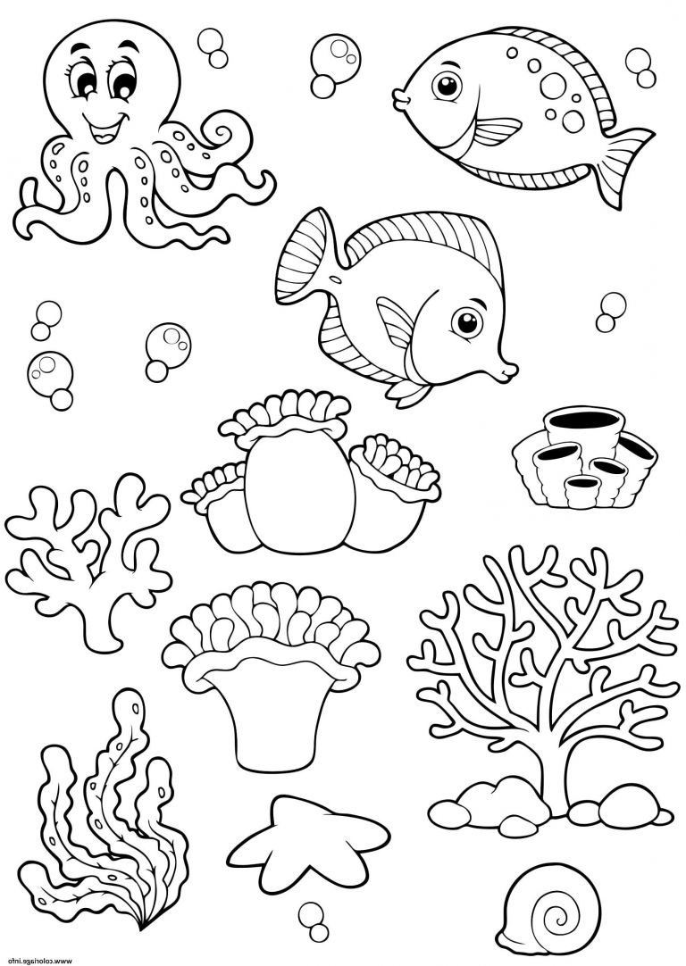 coloriage animaux de la mer in coloriage animaux de la mer ocean poissons enfants dessin
