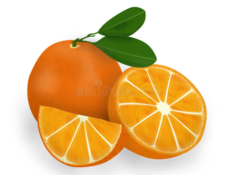 28 inspirant coloriage orange fruit