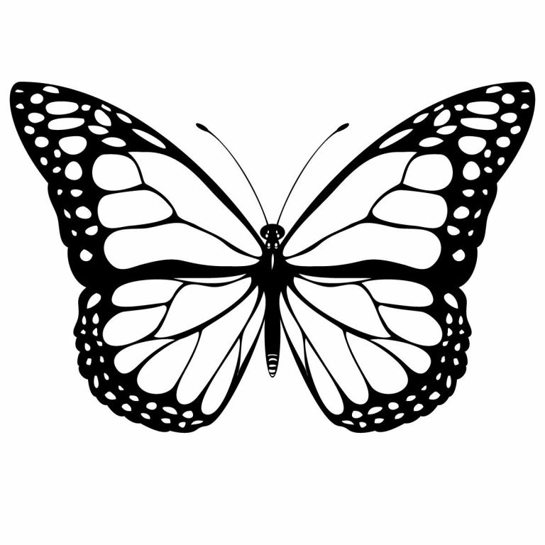 Papillon à Colorier Inspirant Photos Coloriage Papillon Les Beaux Dessins De Animaux à