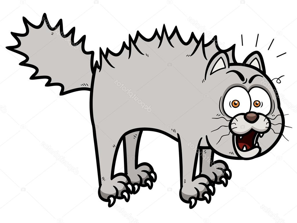 stock illustration scared cartoon cat