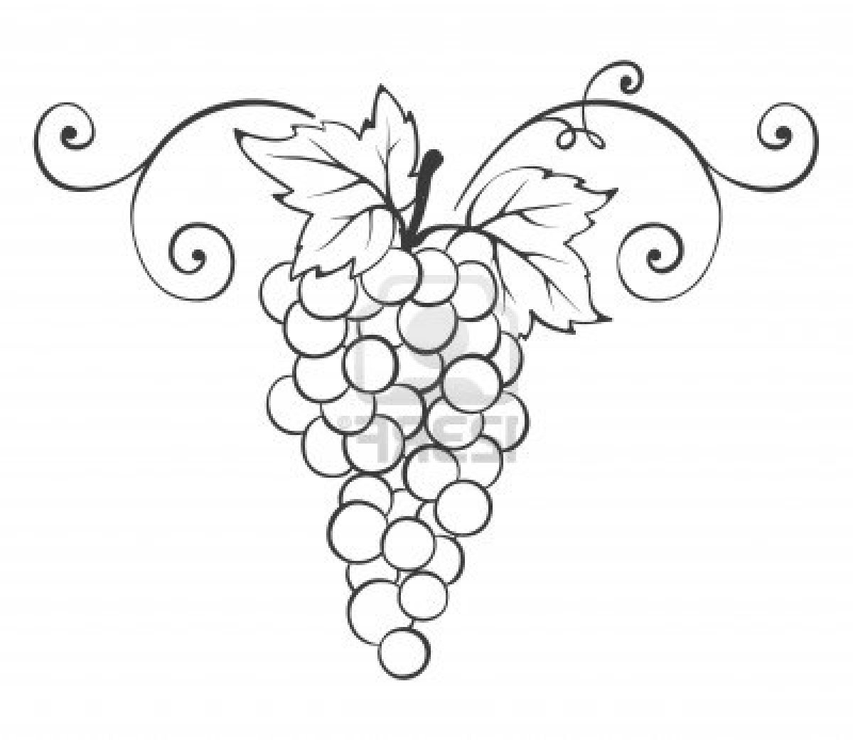 dessin de raisin