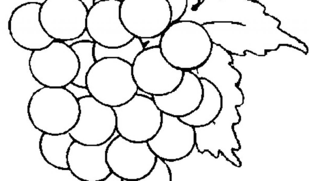 raisin dessin coloriage coloriage grappe de raisin en ligne gratuit imprimer