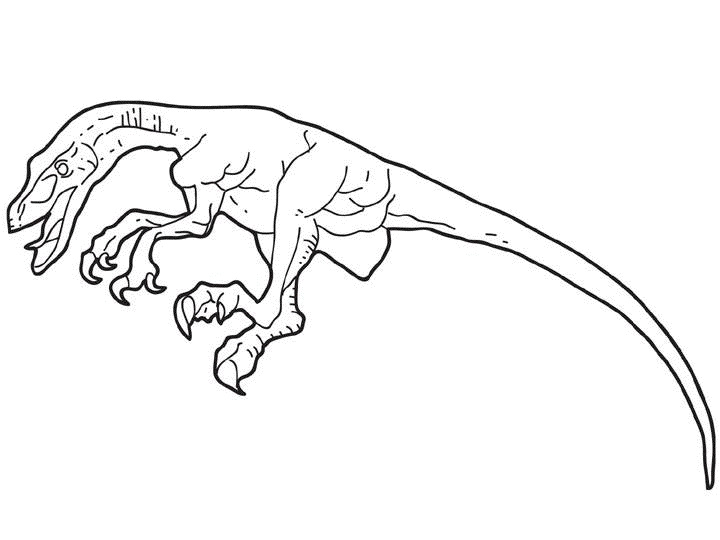 coloriage velociraptor