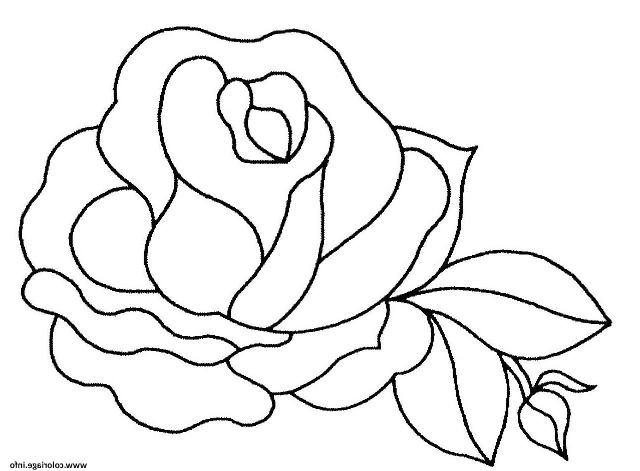 fleur de rose coloriage dessin