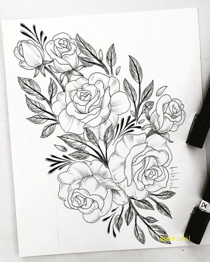 dessin fleur realiste meilleur rose simple dessin unique image ment dessiner une fleur fashion