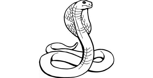 Serpent Dessin Facile Nouveau Photographie C mo Dibujar Serpent Dessin Facile Nouveau Photographie C mo Dibujar