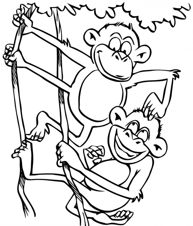 deux singes jouent