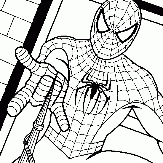 SpiderMan toile araignee dessin coloriage