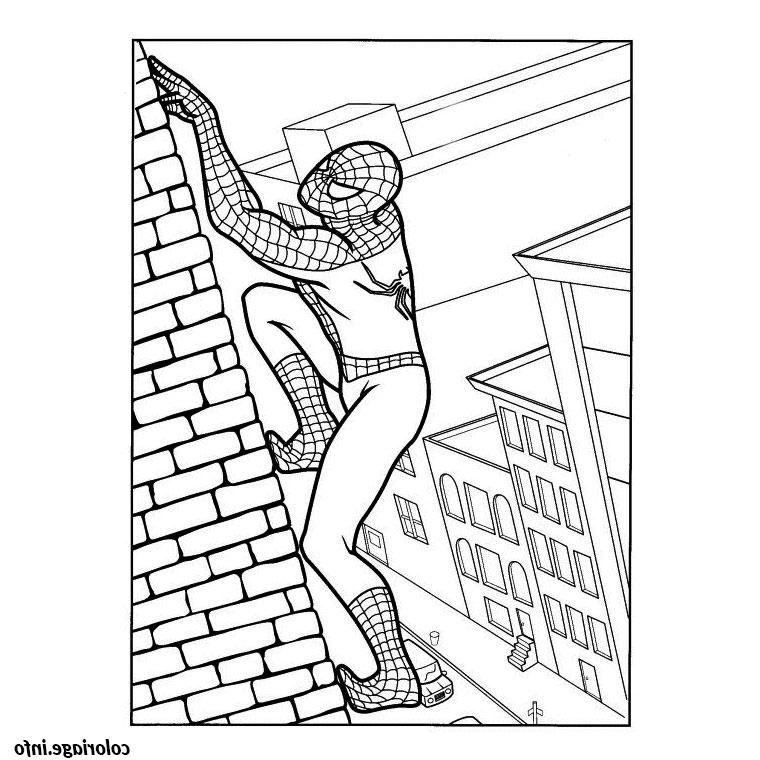 spiderman grimpe le mur dune maison coloriage 879