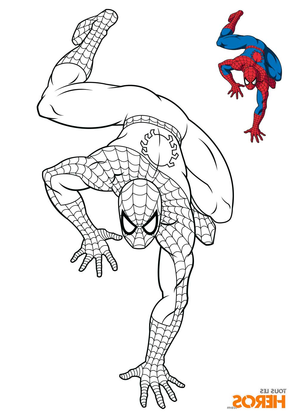 coloriages spiderman