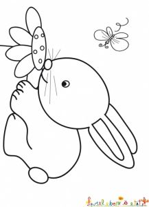 Tete De Lapin Dessin Beau Photographie Bébé Lapin Respire ...