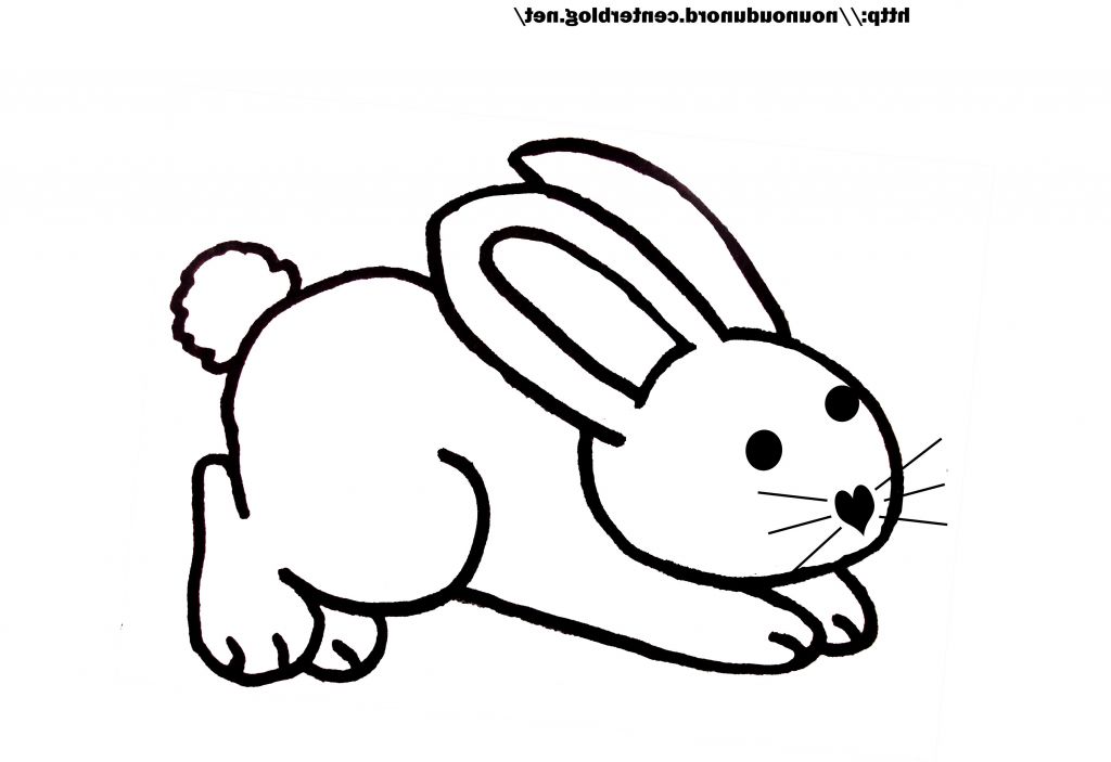 Tete De Lapin Dessin Realiste - Réaliser un dessin de lapin étape par