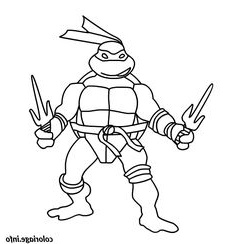 dessin de tortue