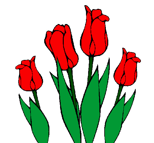 tulipes colorie par pline456