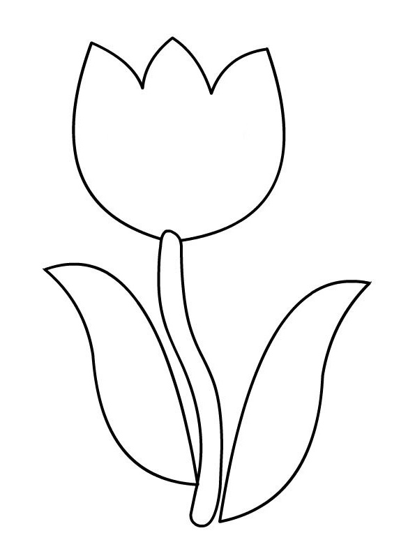 rub coloriages fleurs tulipes