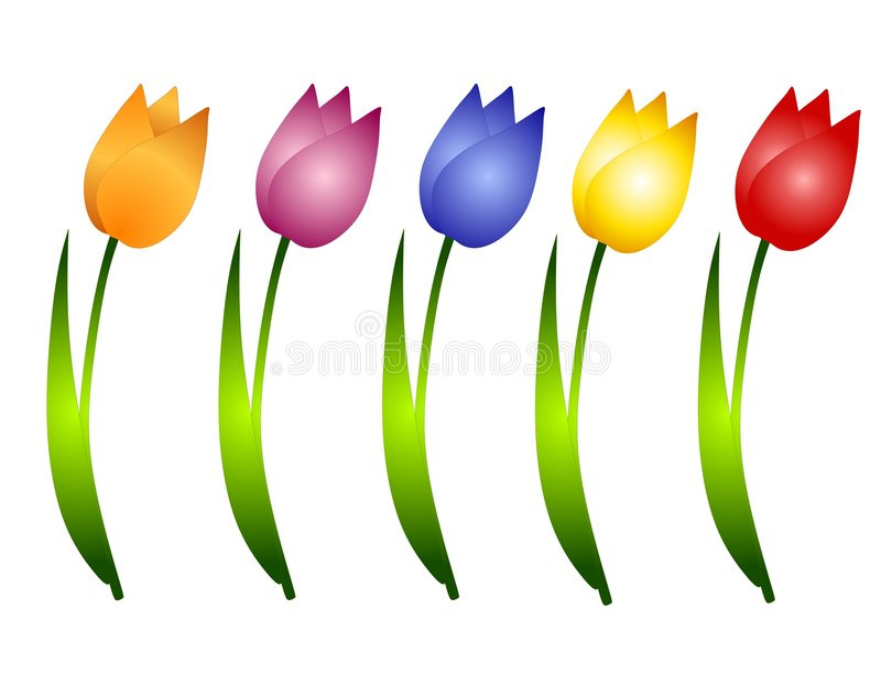 photo stock clipart images graphiques assorti de fleurs de tulipes de source image