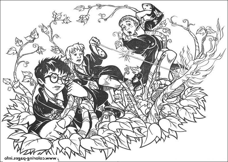 harry potter coloring sheets for kids1 printable coloring pages book