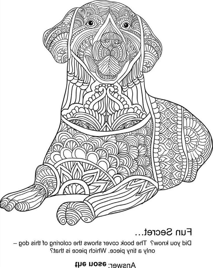coloriage mandala chien