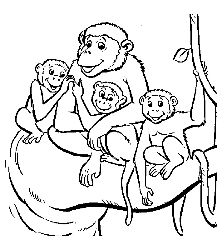 image=monkeys Coloring for kids monkeys 2