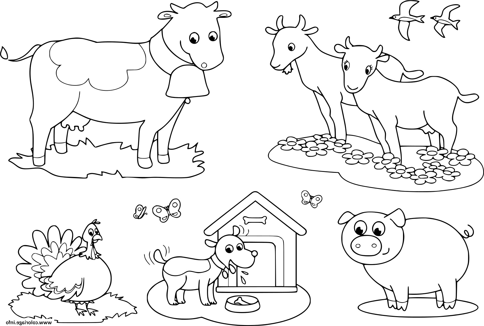 animaux de la ferme pour les enfants de chevre vache cochon dindon le chien et avale coloriage