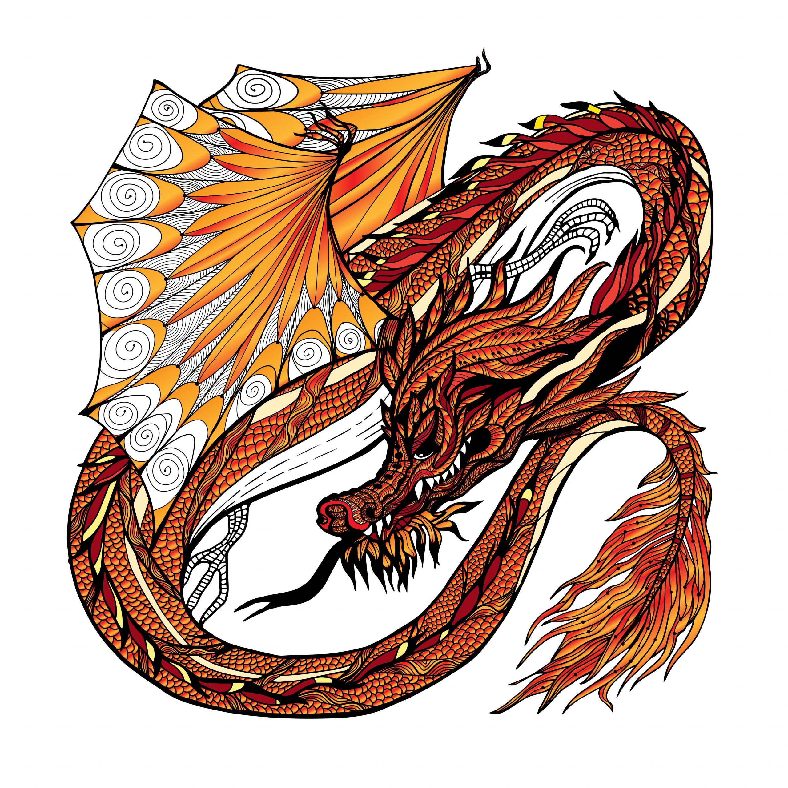 dragon sketch color