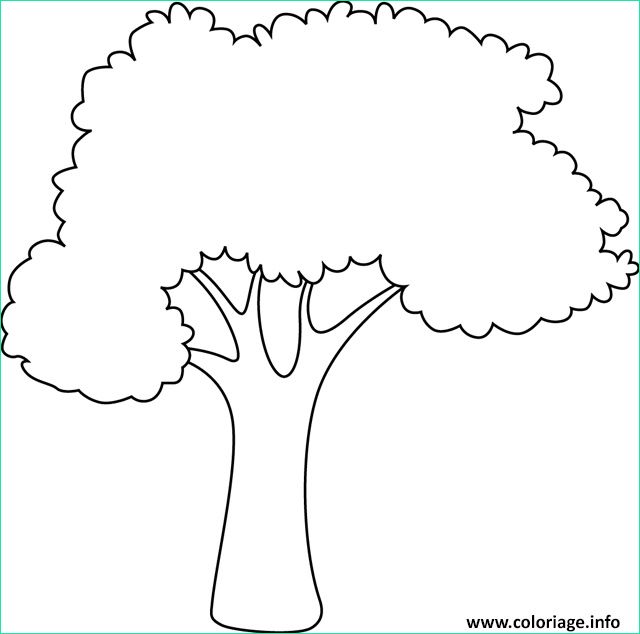 dessin arbre simple luxe image coloriage arbre simple facile nature dessin