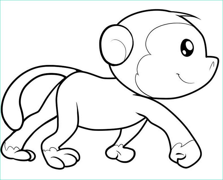 cute monkey drawing