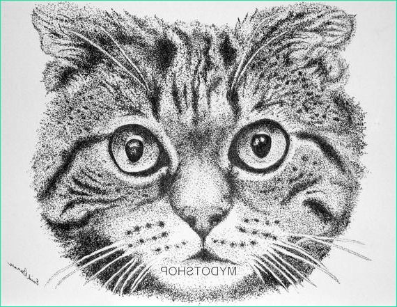 original cat pointillism pen and ink