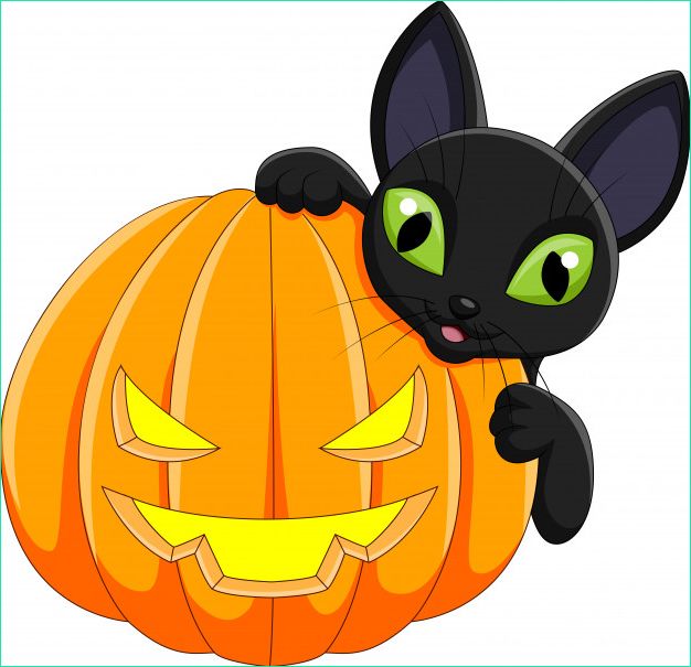 chat noir dessin anime citrouille halloween