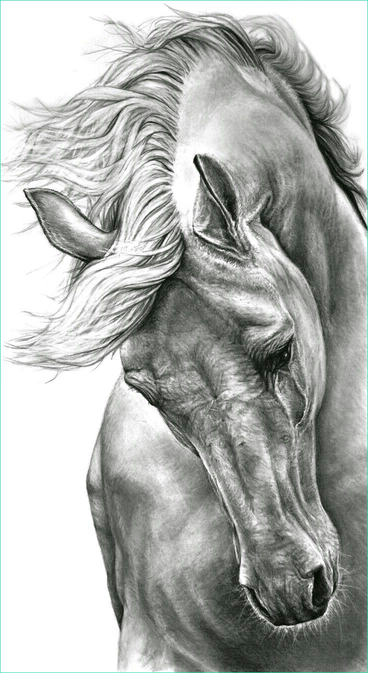 idees pour crayon dessin tete de cheval