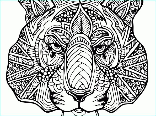 9 attrayant coloriage anti stress animaux collection
