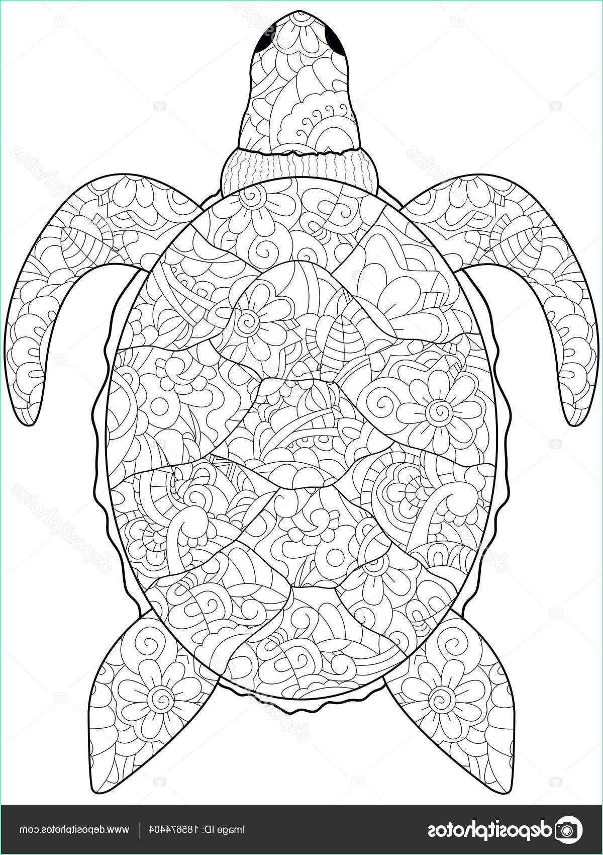 12 precieux coloriage anti stress animaux tortue pics