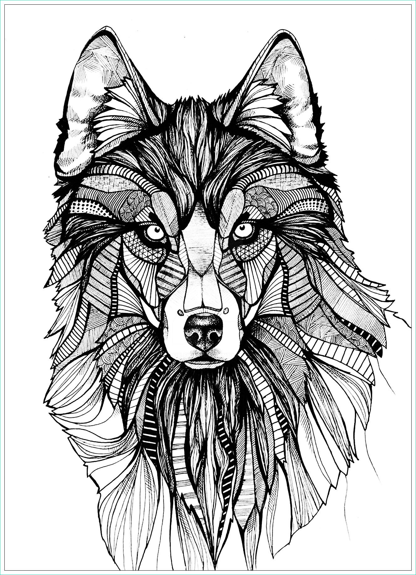 2 image=animaux coloriage adulte loup 3 1
