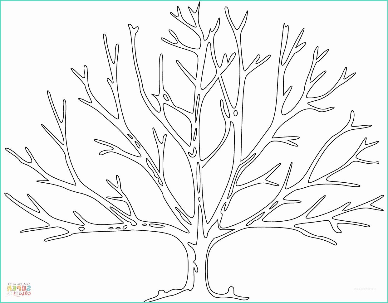 dessin arbre sans feuille a imprimer coloriage d un arbre sans feuille
