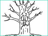 dessin arbre sans feuille bestof images coloriage saison en ligne gatuit dessins saison a