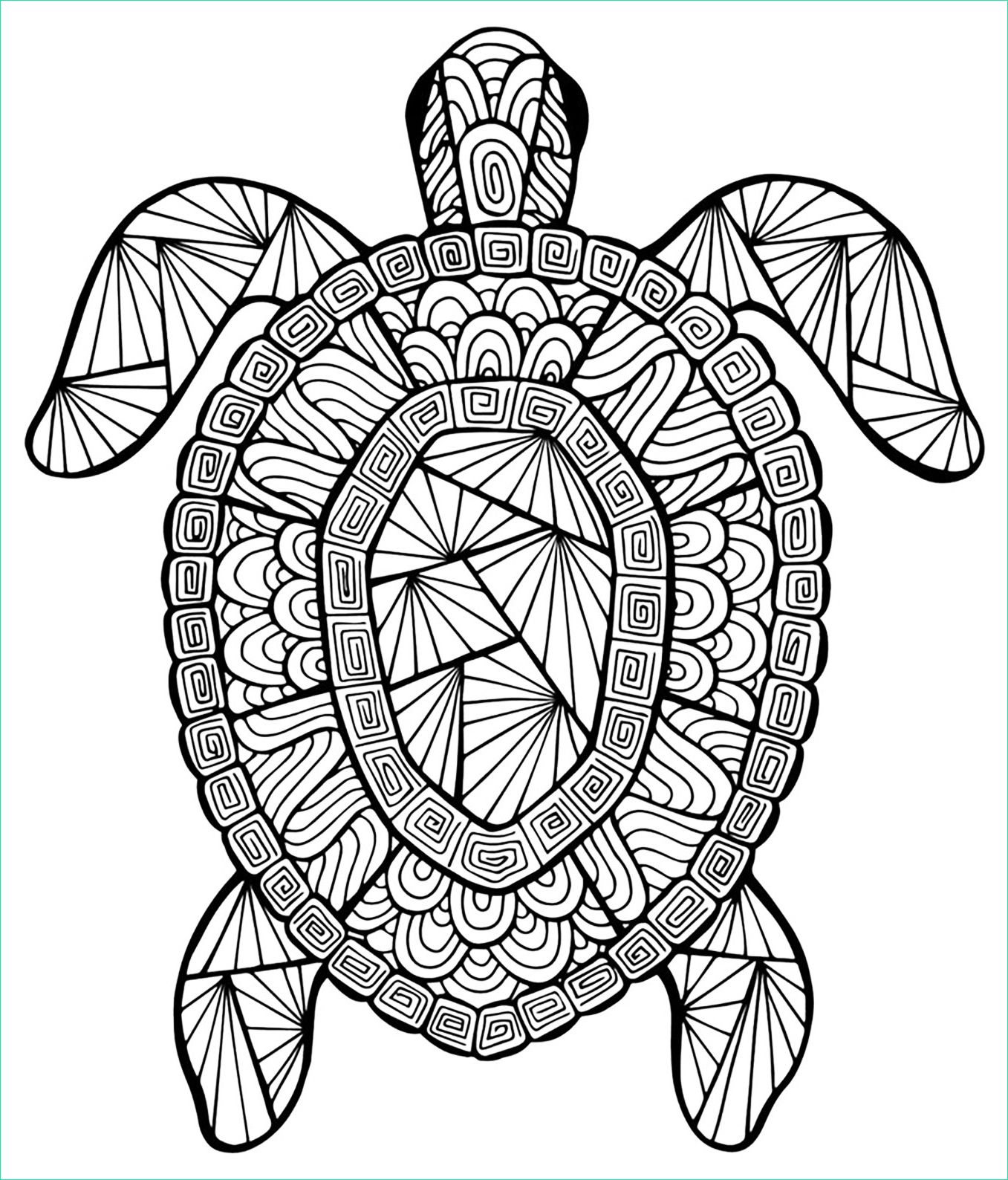 image=animaux coloriage avec tortue 1