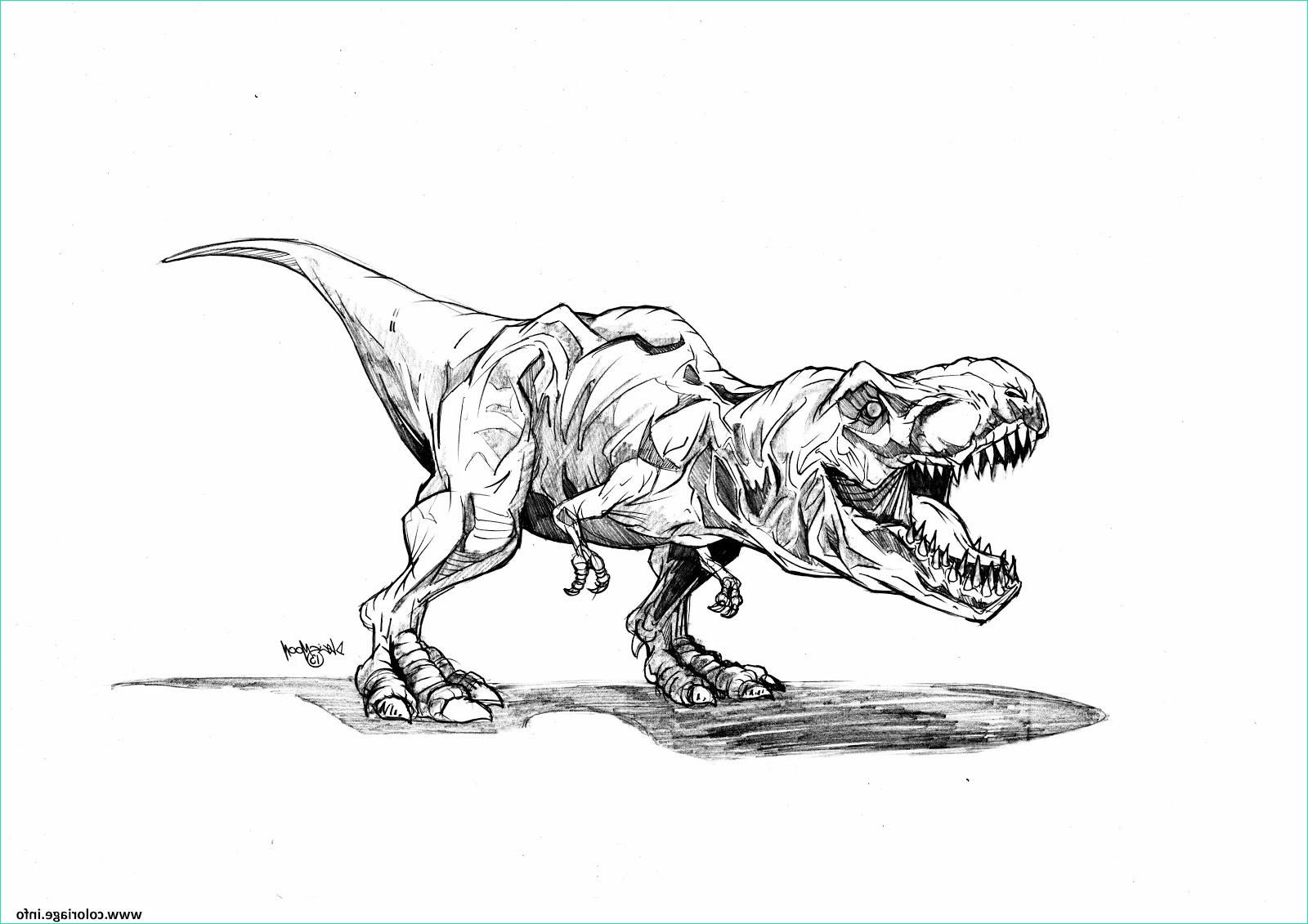 tag coloriage de tyrannosaurus rex