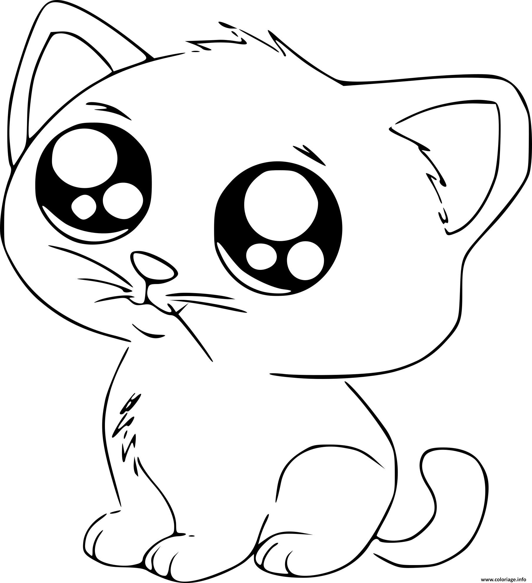 dessin de chaton kawaii nouveau photographie coloriage chat manga cute mignon dessin