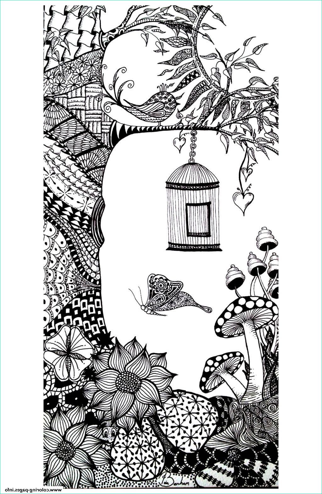 adult animals bird butterfly printable coloring pages book 3632