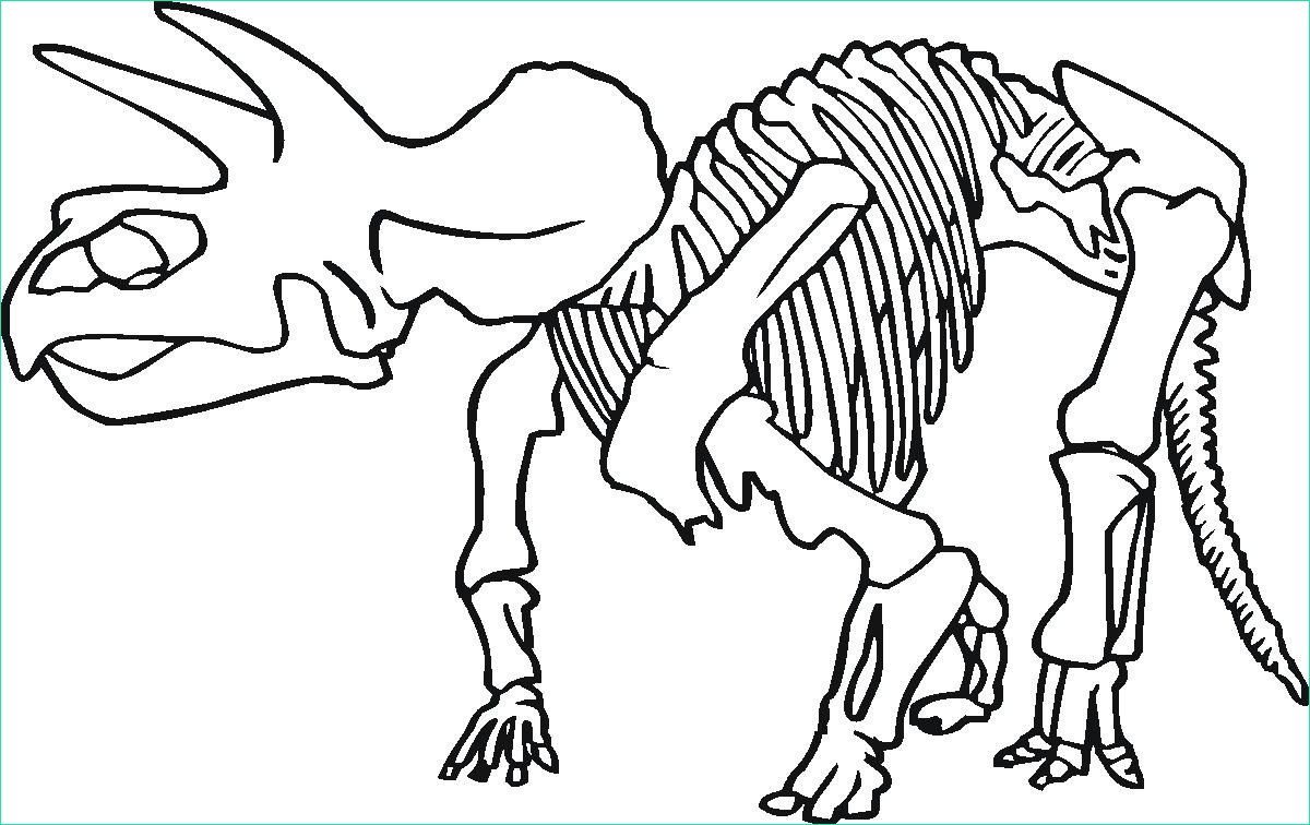 dinosaur skeleton coloring pages
