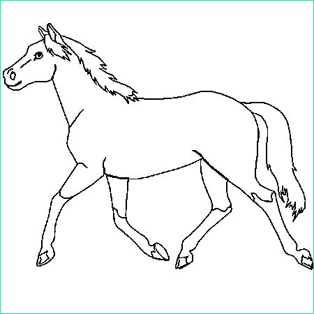 dessin de cheval 5
