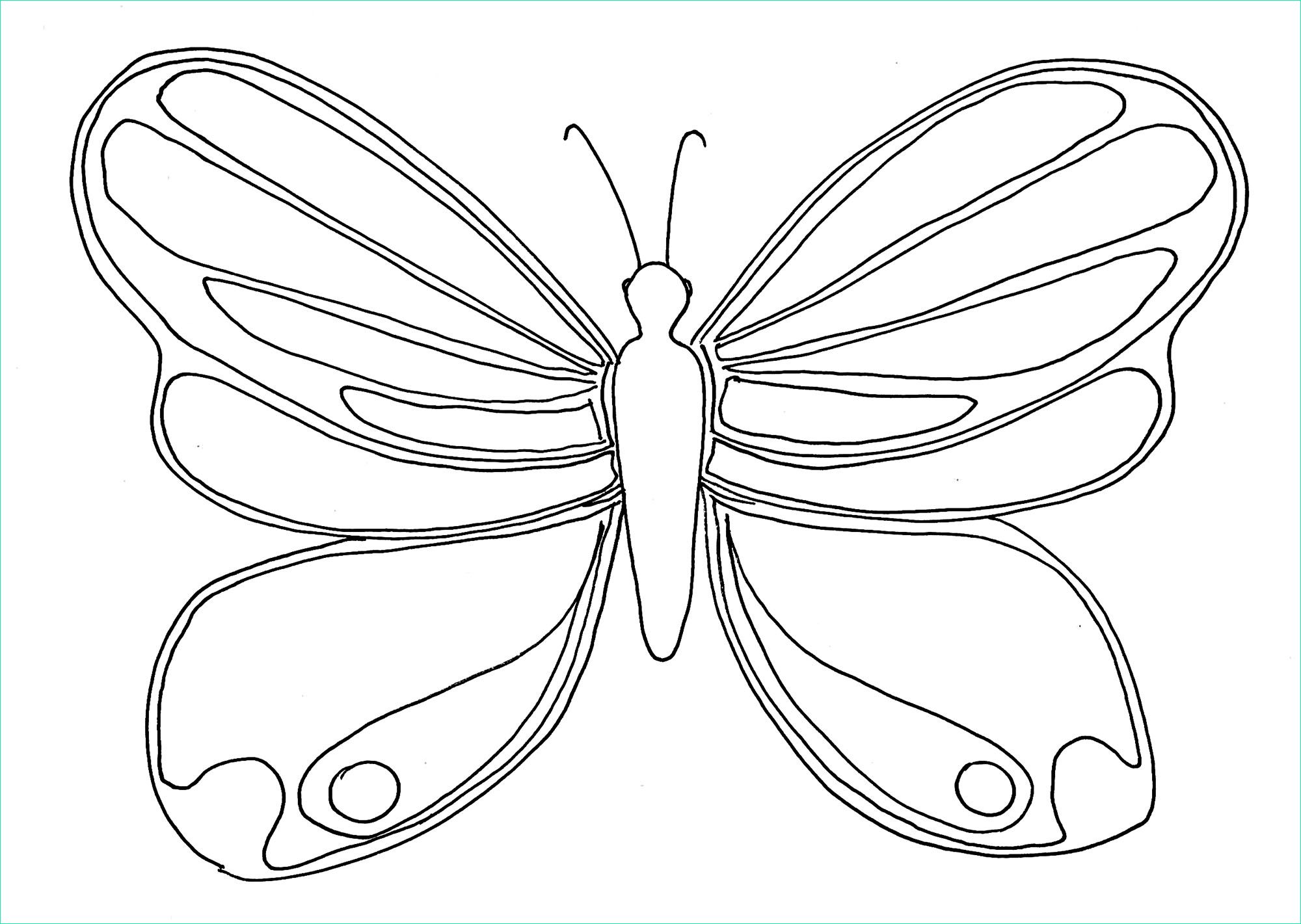 image=papillons coloriage enfant papillon 4 1
