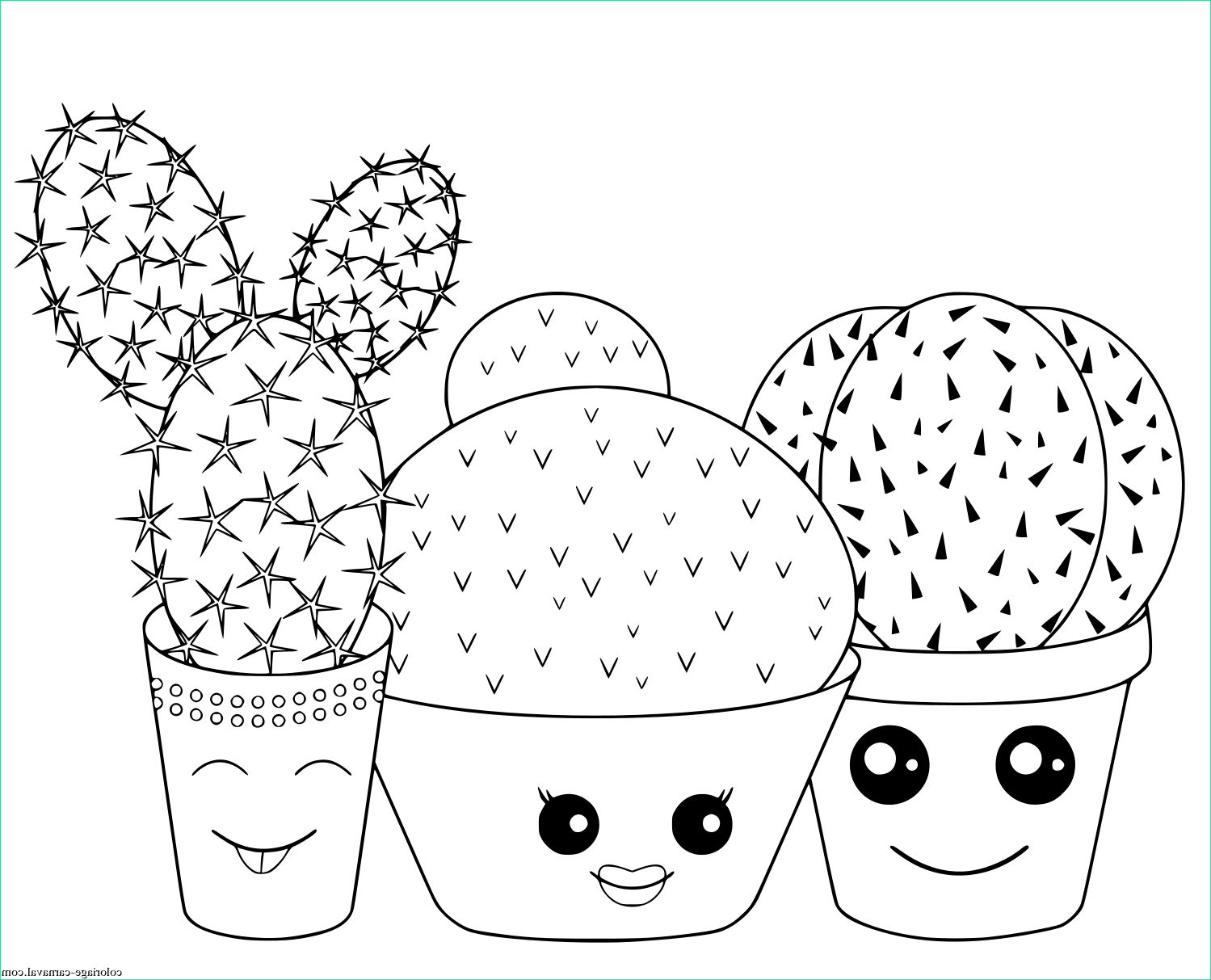 kawaii cactus cactaceae famille de plantes