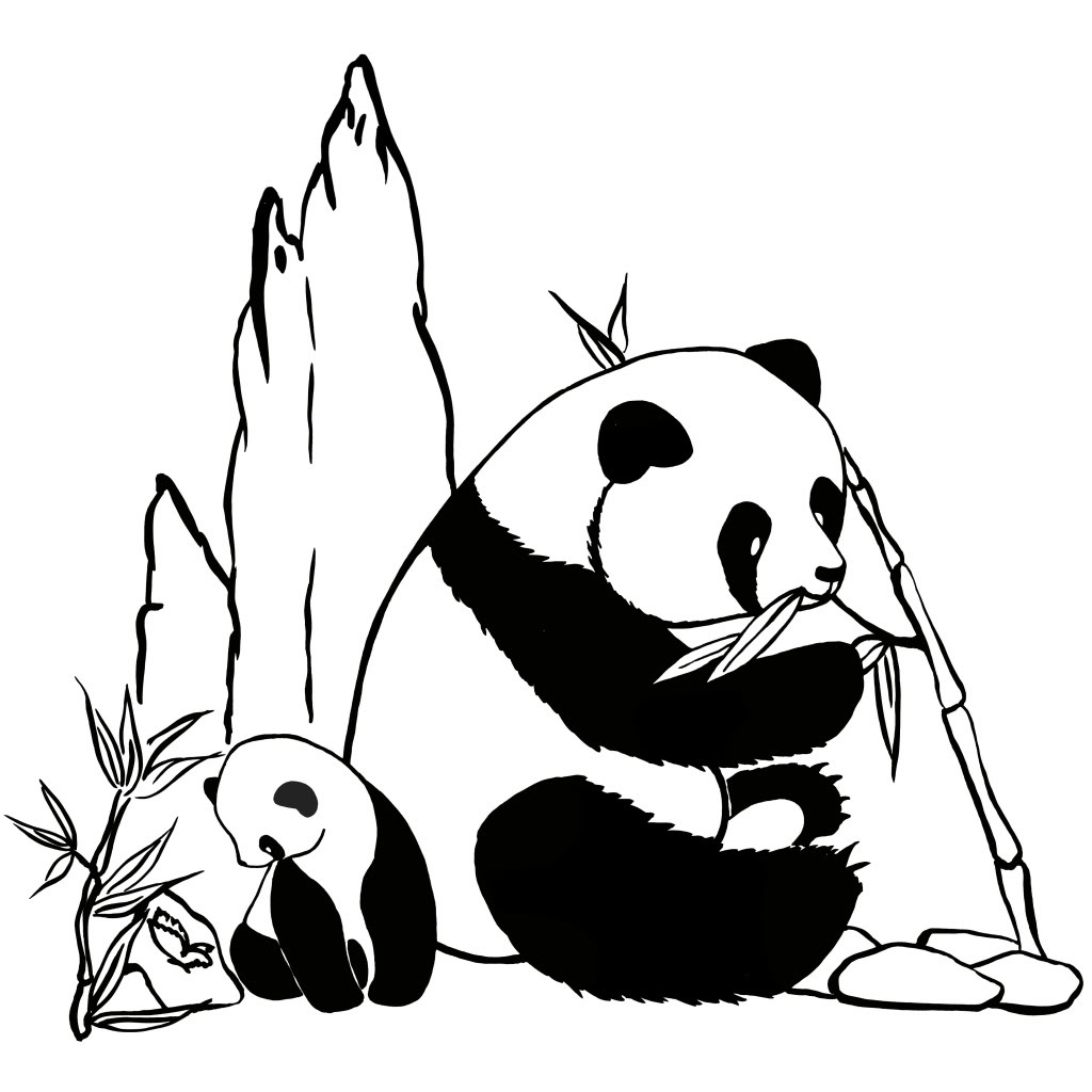 coloriage de panda