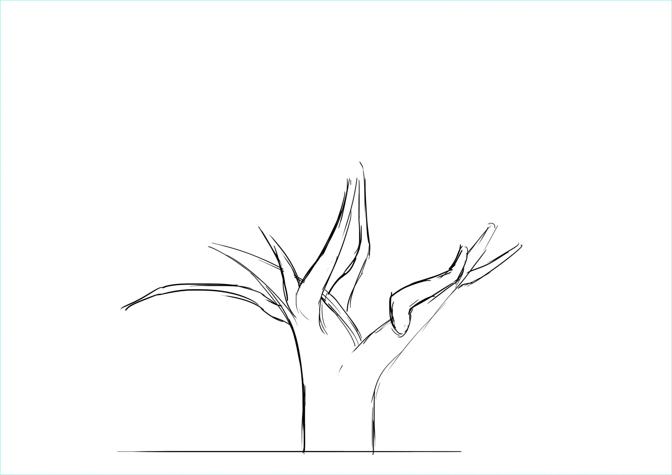 ment dessiner un arbre sans feuille