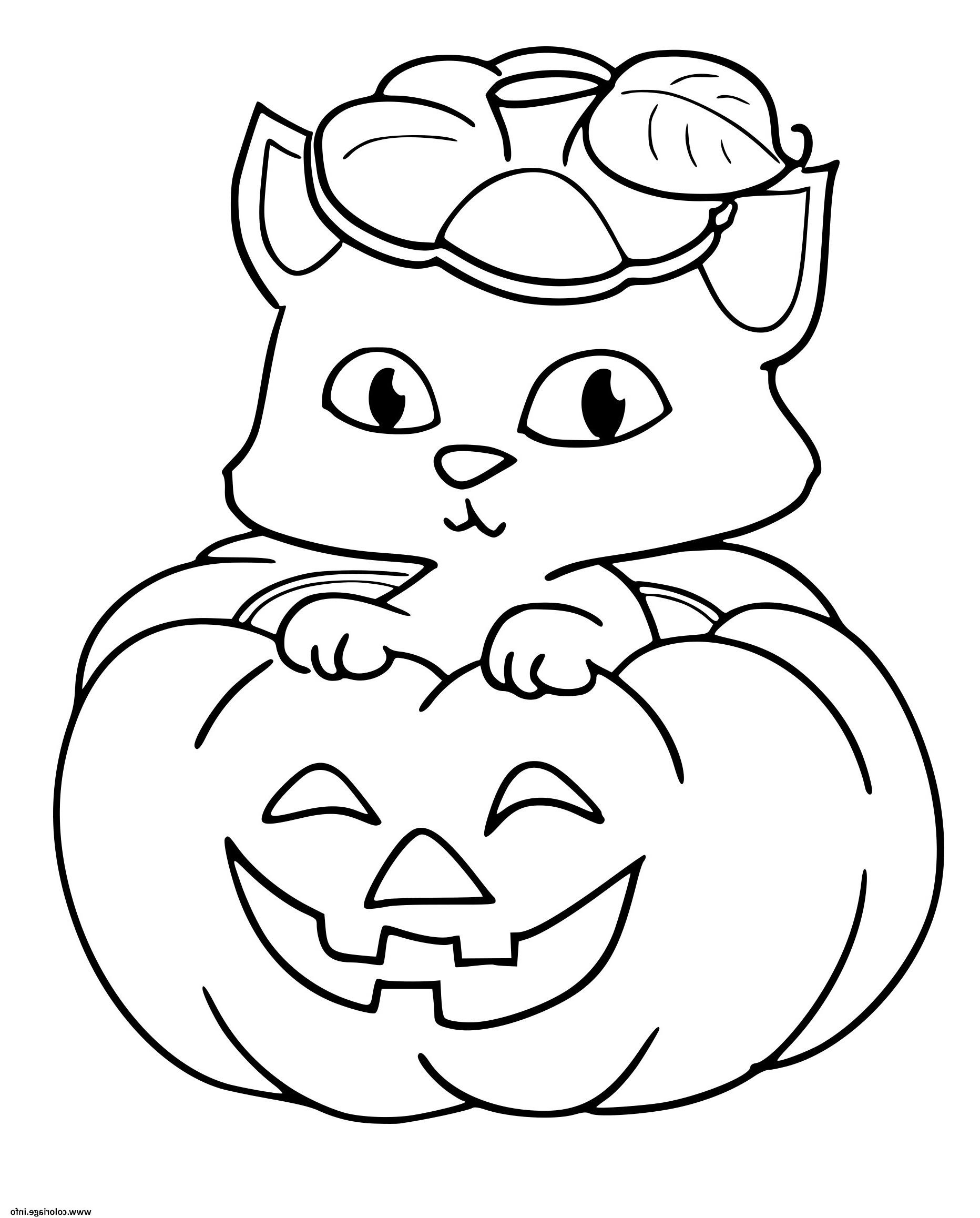 citrouille chat halloween coloriage dessin