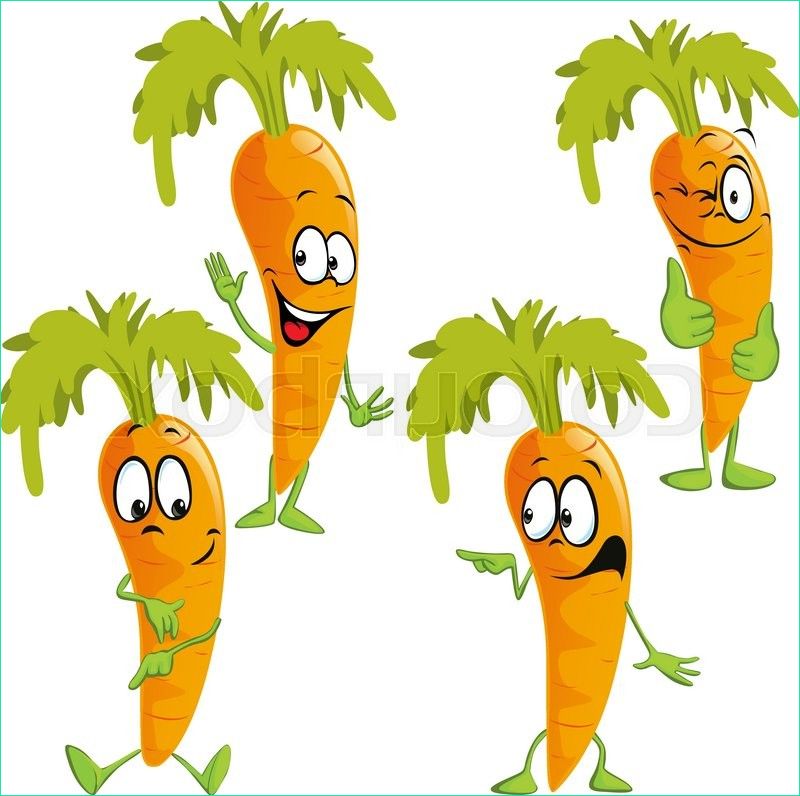 carrot funny vector cartoon vector