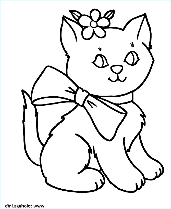 dessin de chat mignon facile